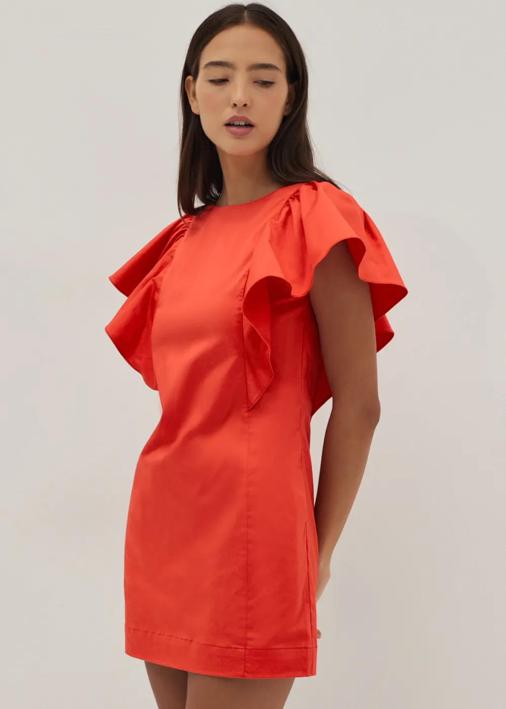 Love, Bonito Work Dresses*Veronique Ruffle Sleeve Shift Dress